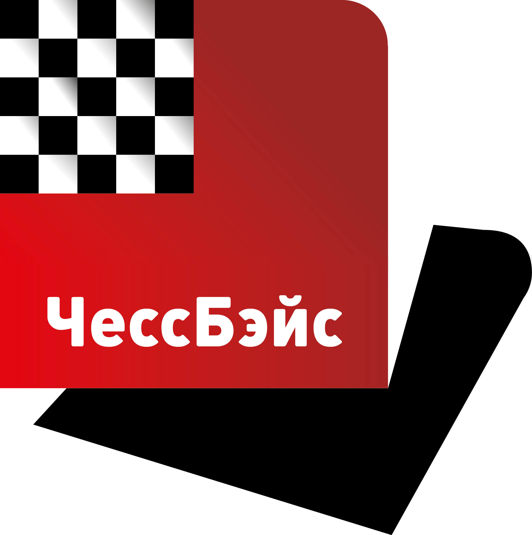 Partner's logo