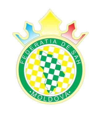 Partner's logo